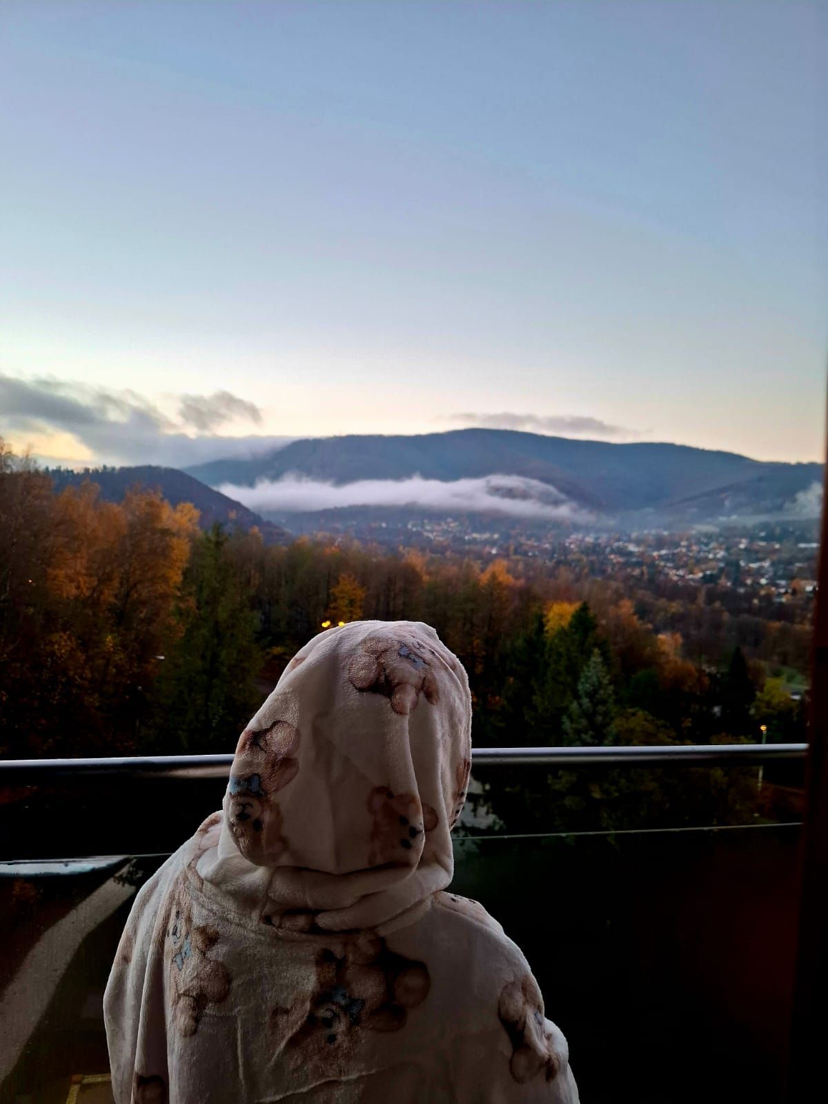 WhatsApp Image 2025-11-05 at 09.13.53.jpeg