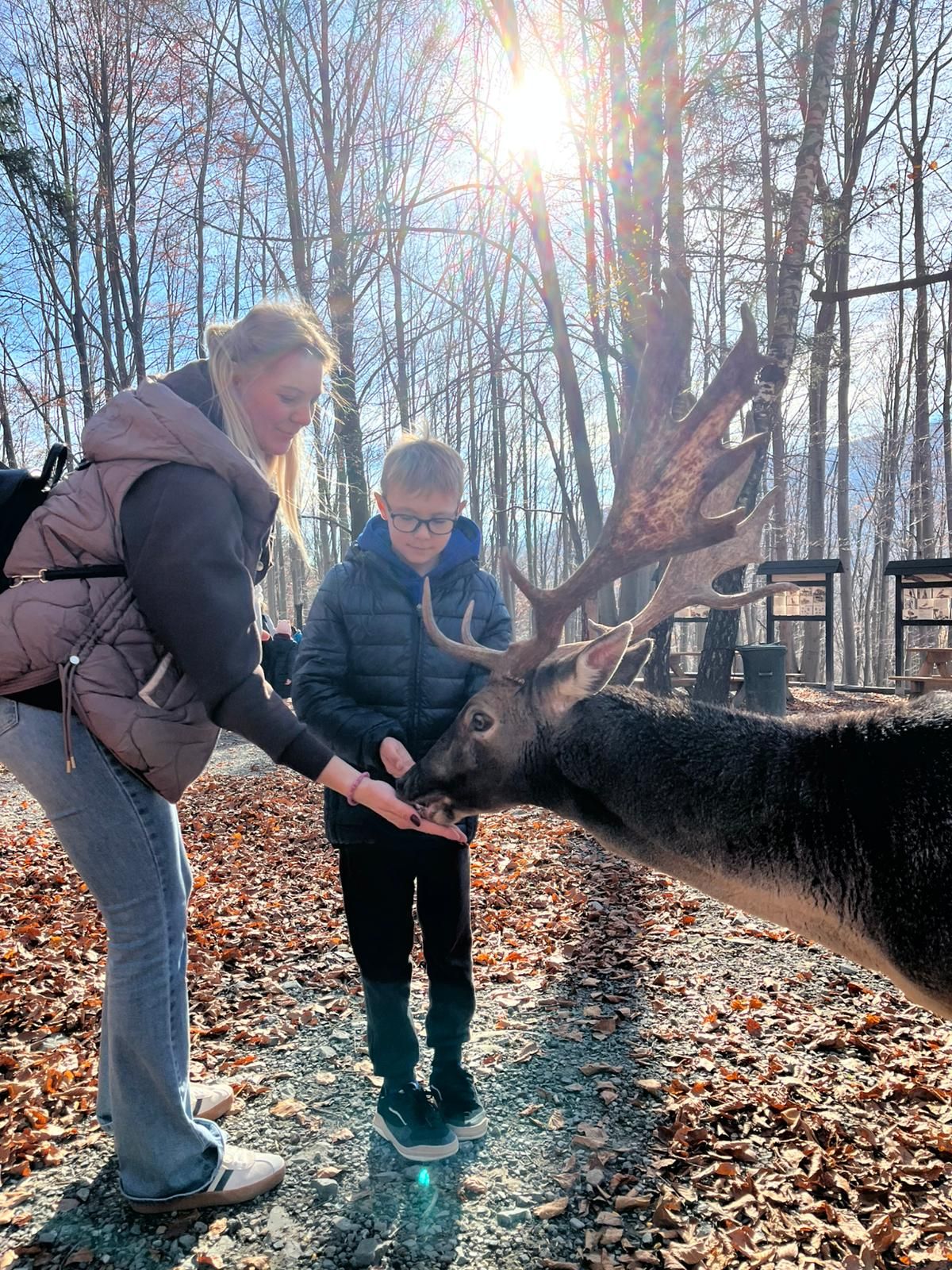 WhatsApp Image 2025-11-05 at 11.53.54.jpeg