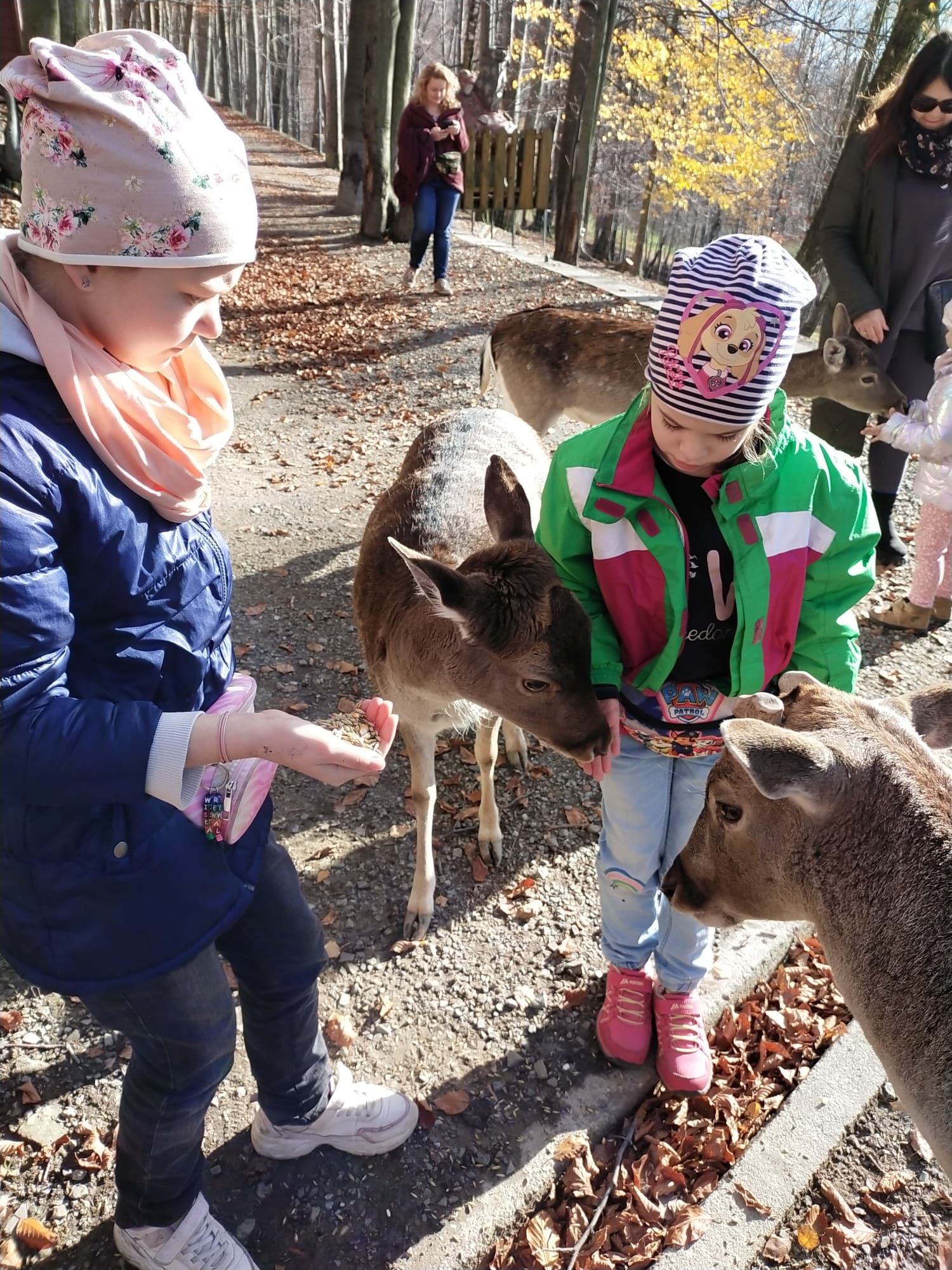 WhatsApp Image 2025-11-06 at 11.51.05.jpeg