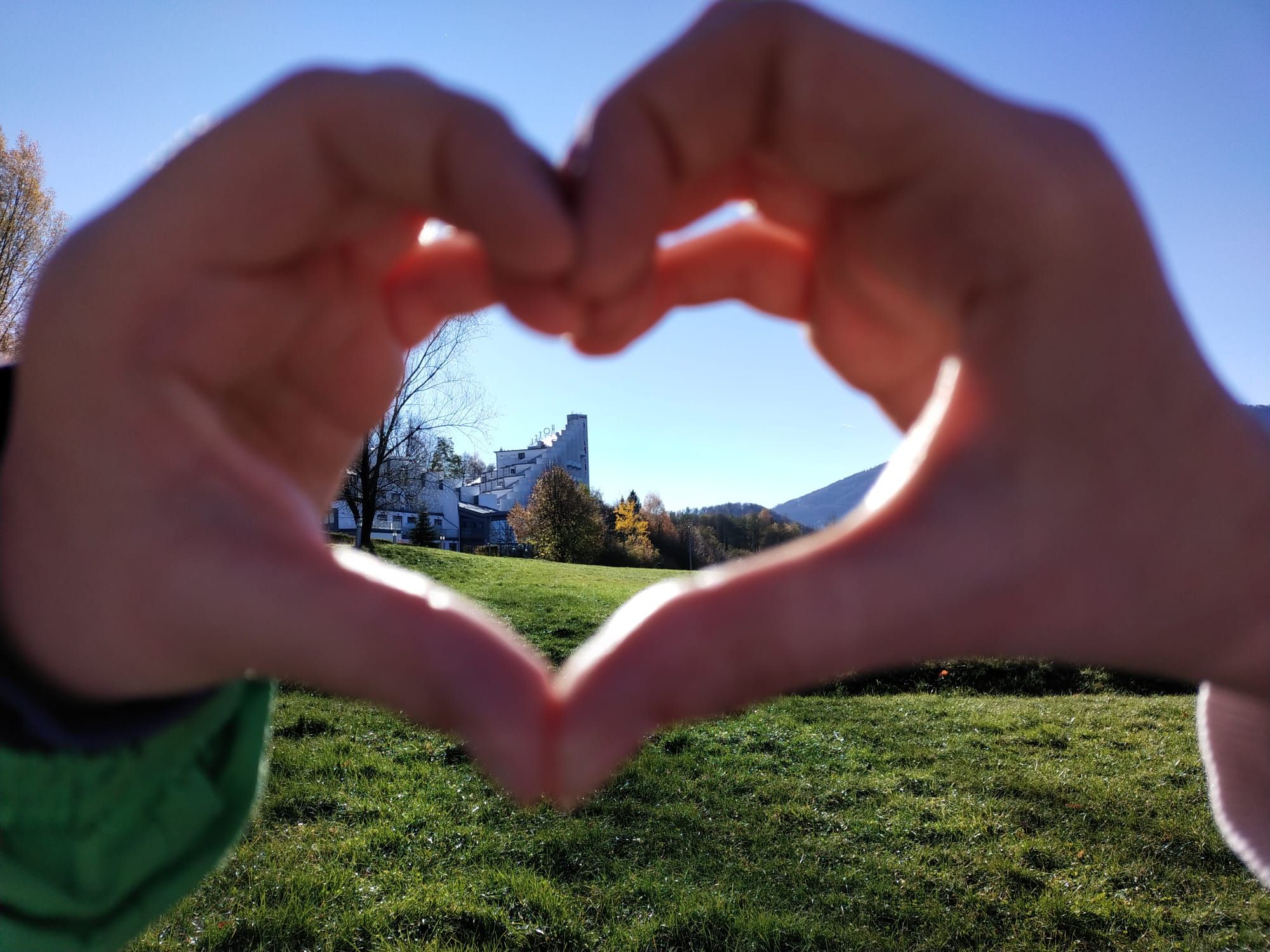 WhatsApp Image 2025-11-06 at 11.51.27.jpeg