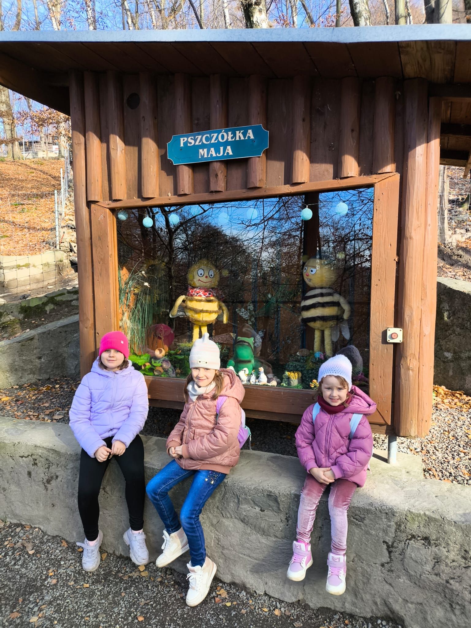 WhatsApp Image 2025-11-06 at 12.47.09.jpeg